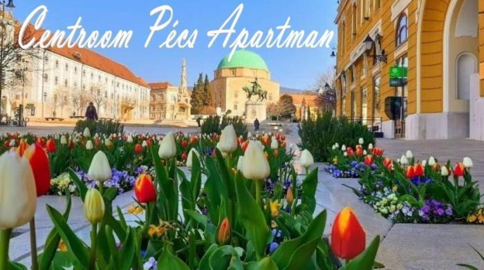 Centroom Pecs Apartman Экстерьер фото